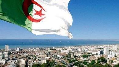 ما يجب أن يقال: الوطن بين العداء والولاء ومعارضة التيك توك ؟ !