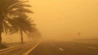 صورة وزارة البيئة المصرية تكشف سبب العاصفة الترابية غير المألوفة