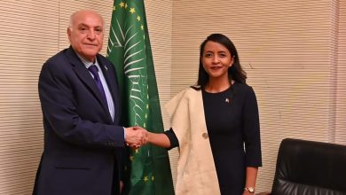 Photo de M. Attaf s’entretient à Addis-Abeba avec son homologue malgache