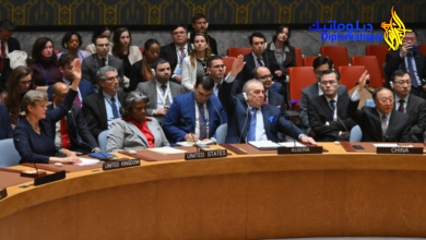 Photo de Conseil de Sécurité Nations Unies : la Palestine membre à part entière, la nouvelle bataille de l’Algerie